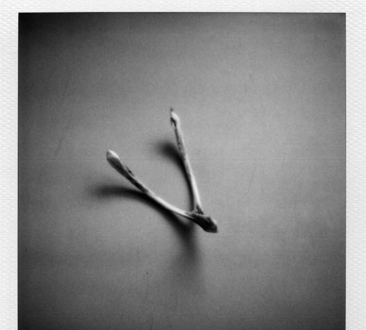 Screenshot 2025-10-13 at 11.45.32 AM