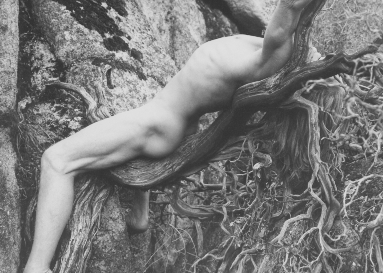 Screenshot 2025-10-13 at 11.46.22 AM