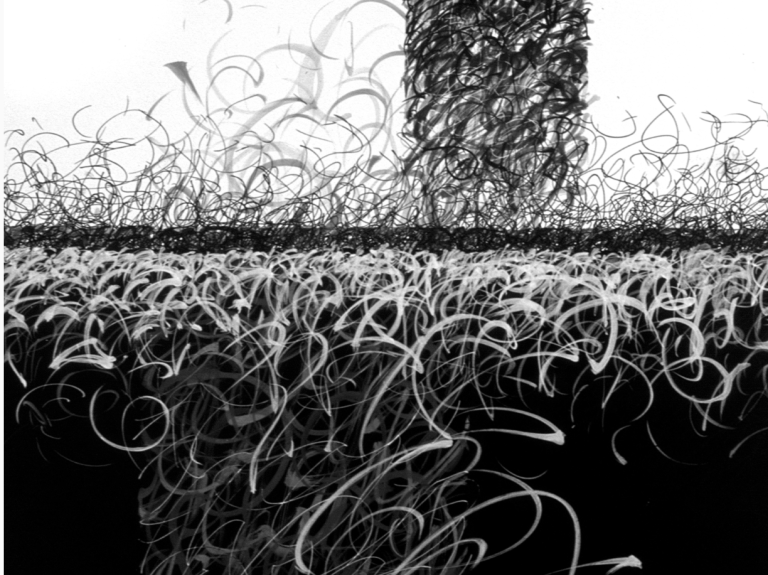 Screenshot 2025-10-13 at 11.46.36 AM